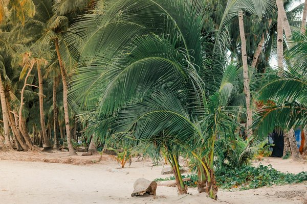 Où participer à une expédition de plongée dans les cenotes de la péninsule du Yucatán, Mexique?