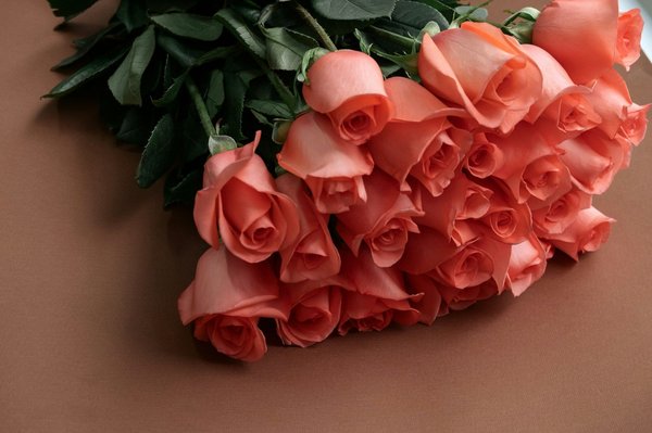 Escapades romantiques : 10 destinations pour amoureux depuis paris